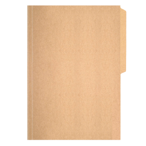 CARPETA CARTON KRAFT BUHO