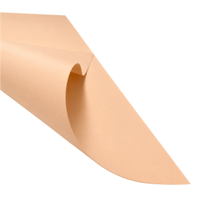 CARTULINA ESPANOLA 55X77 PIEL