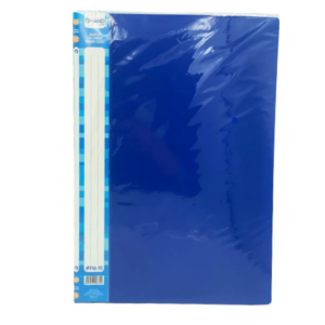 CARPETA 10 FUNDA OFICIO