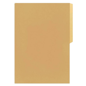 CARPETA CARTON OFICIO BEIGE