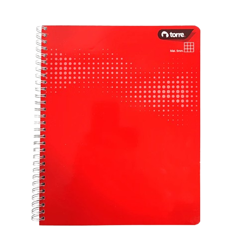 CUADERNO UNIVERSITARIO 5 MM LISO