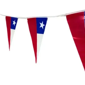 BANDERINES FIESTA PATRIA 3 MTR LA PALOMA